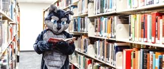 Wolf in Library with Book